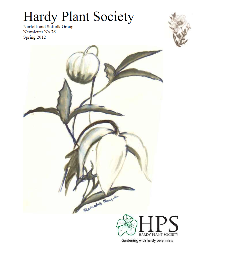 Cover spring 2012