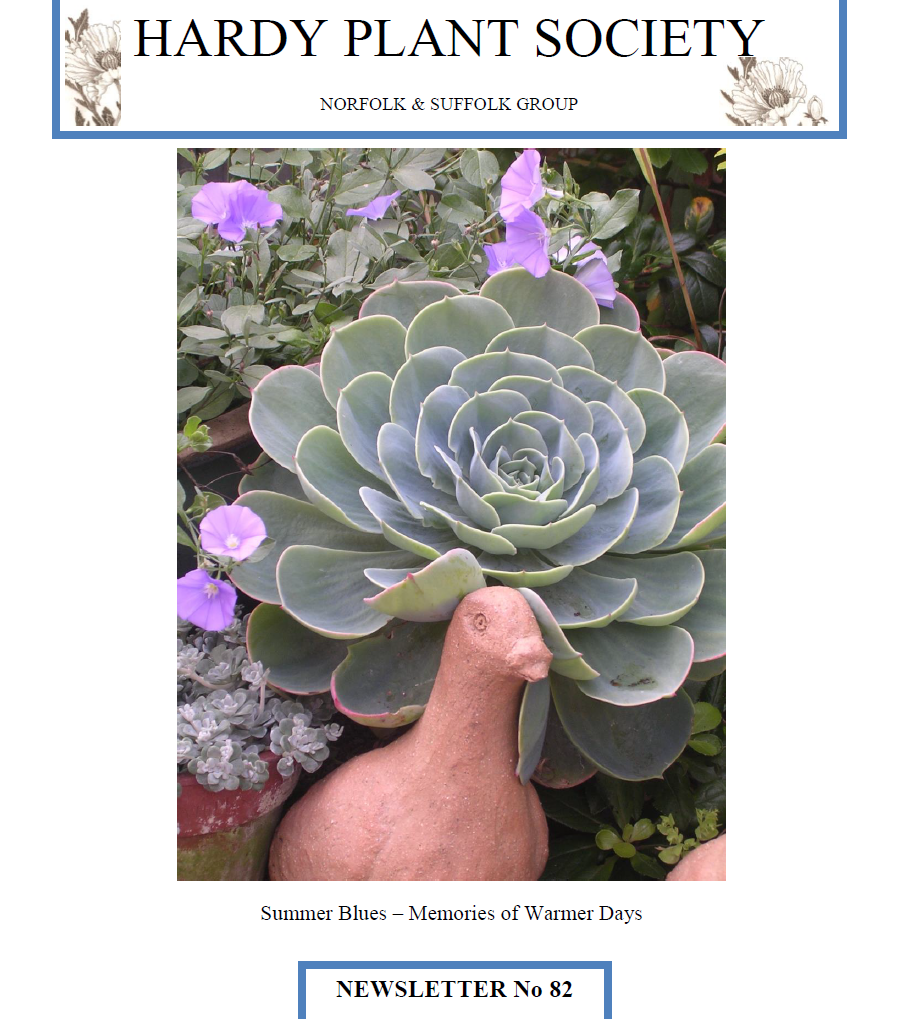Cover spring 2014