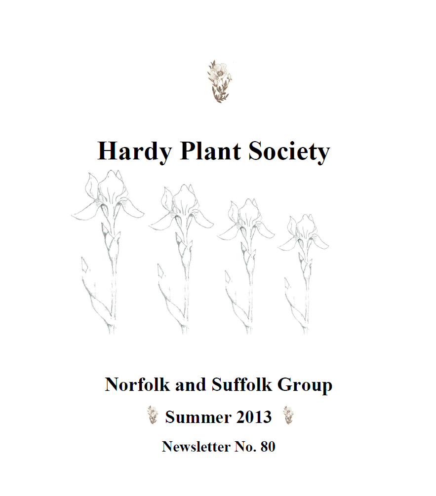 Cover summer 2013